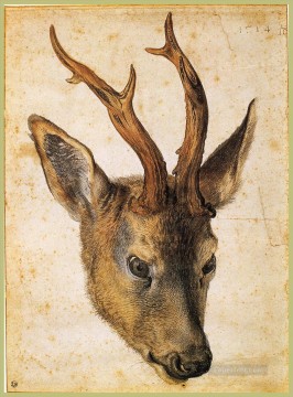 Albrecht Durer Painting - Head of a Stag Albrecht Durer